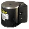 Bijur Standard Rep Motor TENV 115V  #21844-1
