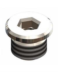 Bijur #35009  Plug  1/4 BSP