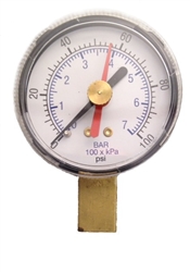 Bijur Gauge 200PSI  #B3839
