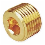 Bijur #HP603 1/8 Pipe Plug